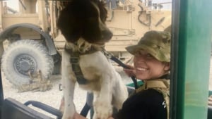 Illustration : "Une militaire et son chien entrevoient l'espoir de se retrouver après de multiples rebondissements"