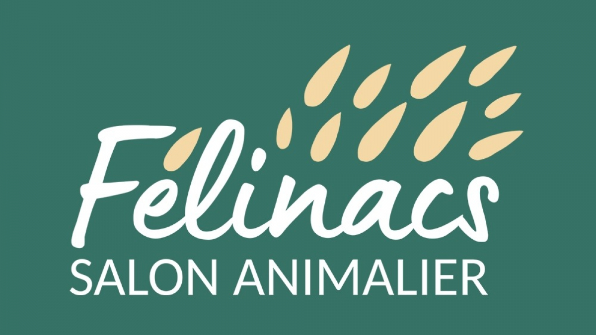 Illustration : "Félinacs, le salon dédié au bien-être des animaux de compagnie, se déroulera le 14 mai prochain près de Nantes"