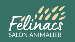 Illustration : "Félinacs, le salon dédié au bien-être des animaux de compagnie, se déroulera le 14 mai prochain près de Nantes"