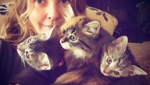 Illustration : "20 photos d'animaux qui ont conquis le cœur des célébrités pour devenir leurs meilleurs amis"
