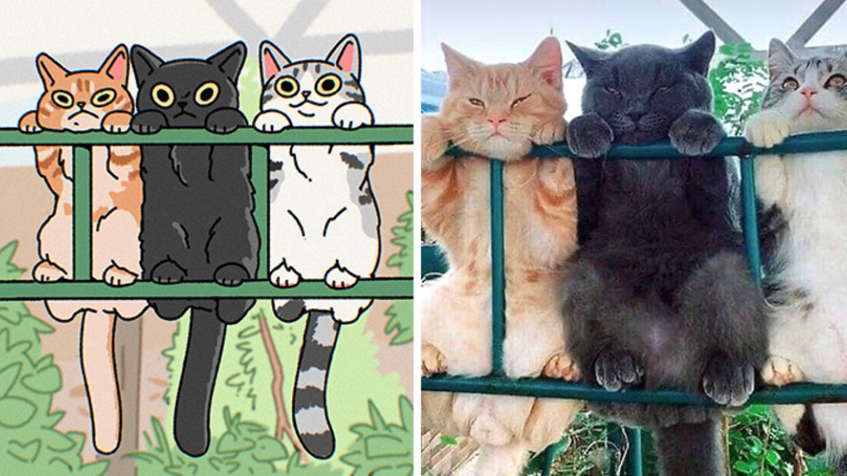Illustration : "20 photos de chats transformées en illustrations originales et amusantes"