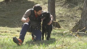 Illustration : "La contribution précieuse d'un chien pour protéger les forêts des ravages d'un parasite"