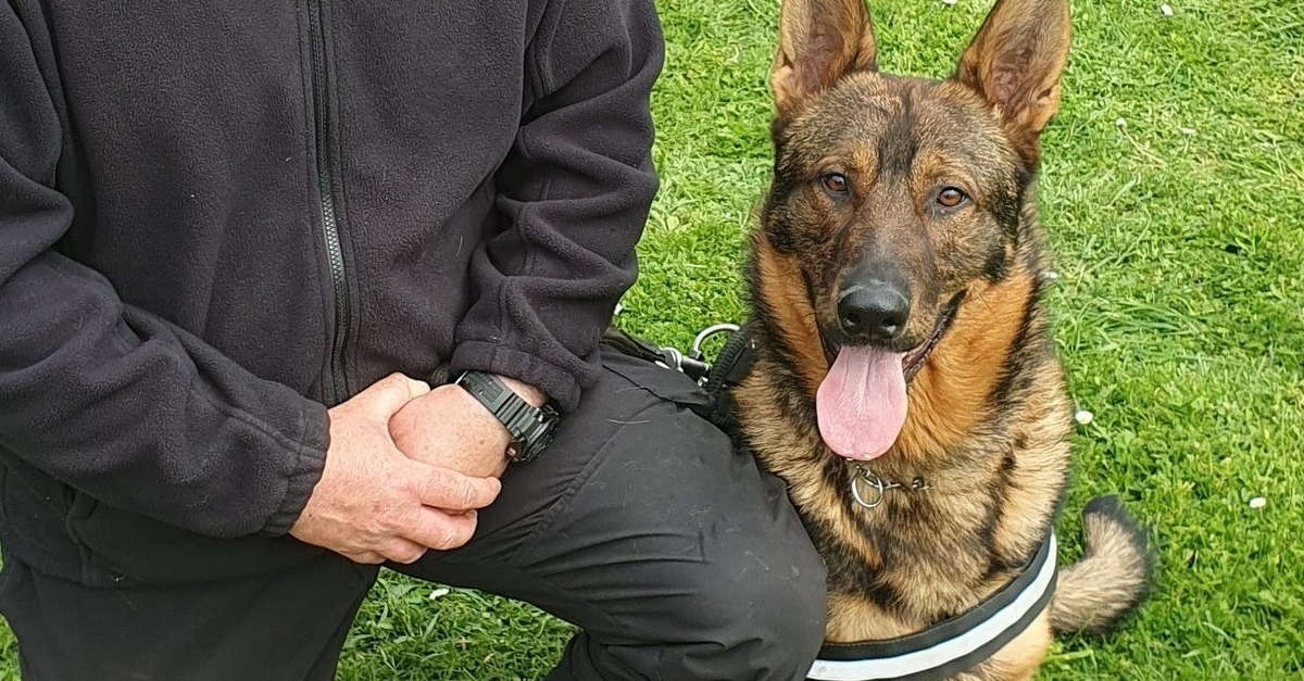 www.woopets.fr