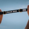 Illustration : Palm Dog by Dogam&iacute; : les chiens stars du cin&eacute;ma habill&eacute;s par la marque fran&ccedil;aise French Bandit