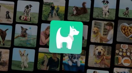 Illustration : Gros plan sur Hundeo, l’application qui révolutionne l’éducation canine et renforce la relation Homme-chien