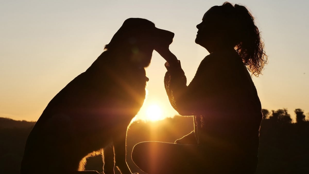 Illustration : "Baromètre Royal Canin IPSOS 2023 : l'attachement des Français envers leurs animaux toujours plus fort"