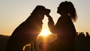 Illustration : "Baromètre Royal Canin IPSOS 2023 : l'attachement des Français envers leurs animaux toujours plus fort"