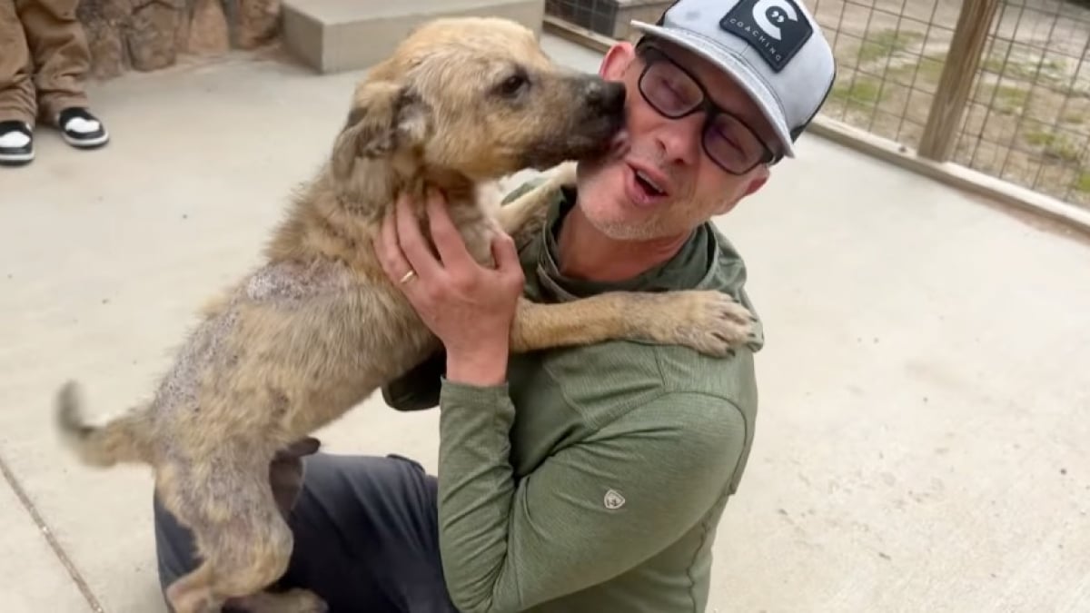 Illustration : "Ce chien ne peut contenir sa joie lorsqu'il rencontre sa famille d'accueil pour la première fois (vidéo)"