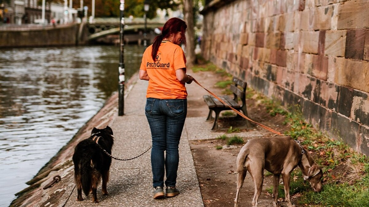 Illustration : "À Strasbourg, les touristes peuvent confier leur chien à Patch Guard pendant qu’ils visitent la ville"