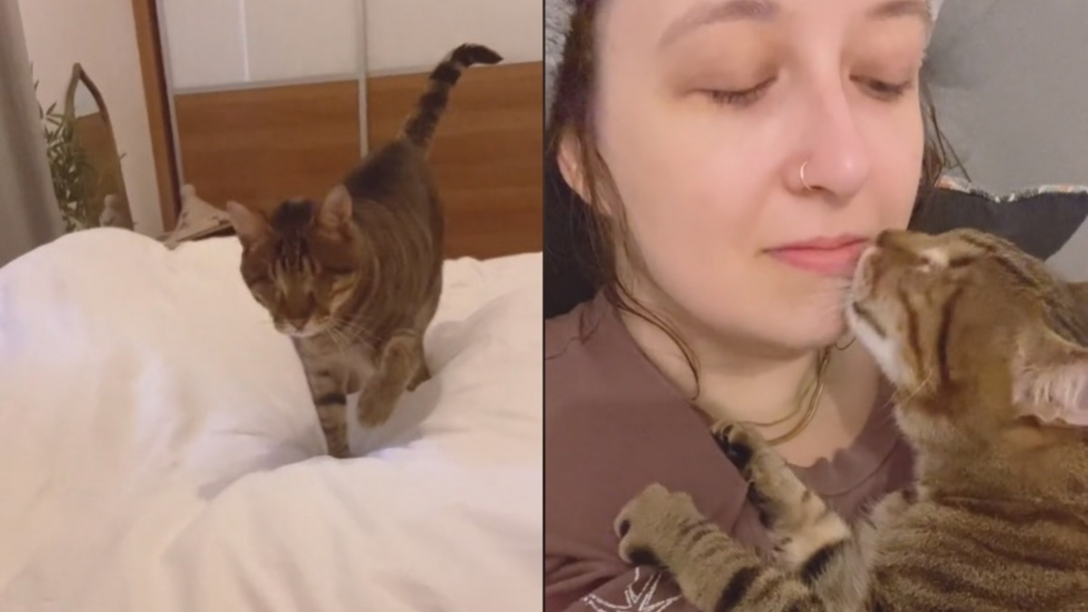 Illustration : "Une nouvelle vidéo de Dmitri le chat aveugle dévoile l'adorable rituel matinal qu'il partage avec son humaine"