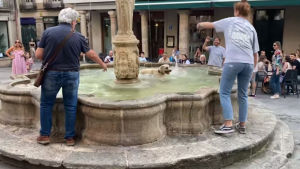 Illustration : "Une chienne repère une fontaine publique et décide d'en faire sa piscine privée (vidéo)"