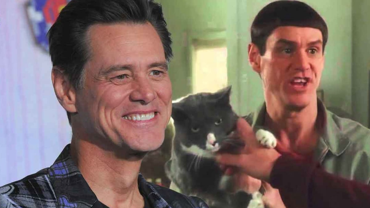 Illustration : "« Je m'inspire beaucoup des animaux » : quand l'espièglerie d'un chat se reflète dans le jeu d'acteur de Jim Carrey"