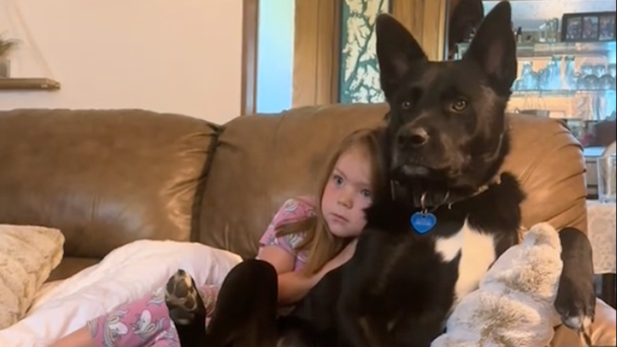 Illustration : "Un chien orphelin trouve du réconfort dans les bras d’une fillette, avec laquelle il adore regarder la télé ! (Vidéo)"