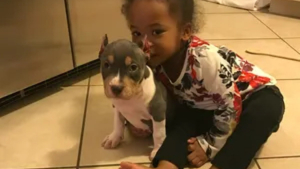 Illustration : "La famille de Jill refuse d'abandonner l'espoir de retrouver cette chienne perdue depuis 3 ans"