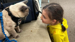 Illustration : Un chat policier au grand cœur apporte joie et réconfort dans un centre pour enfants autistes