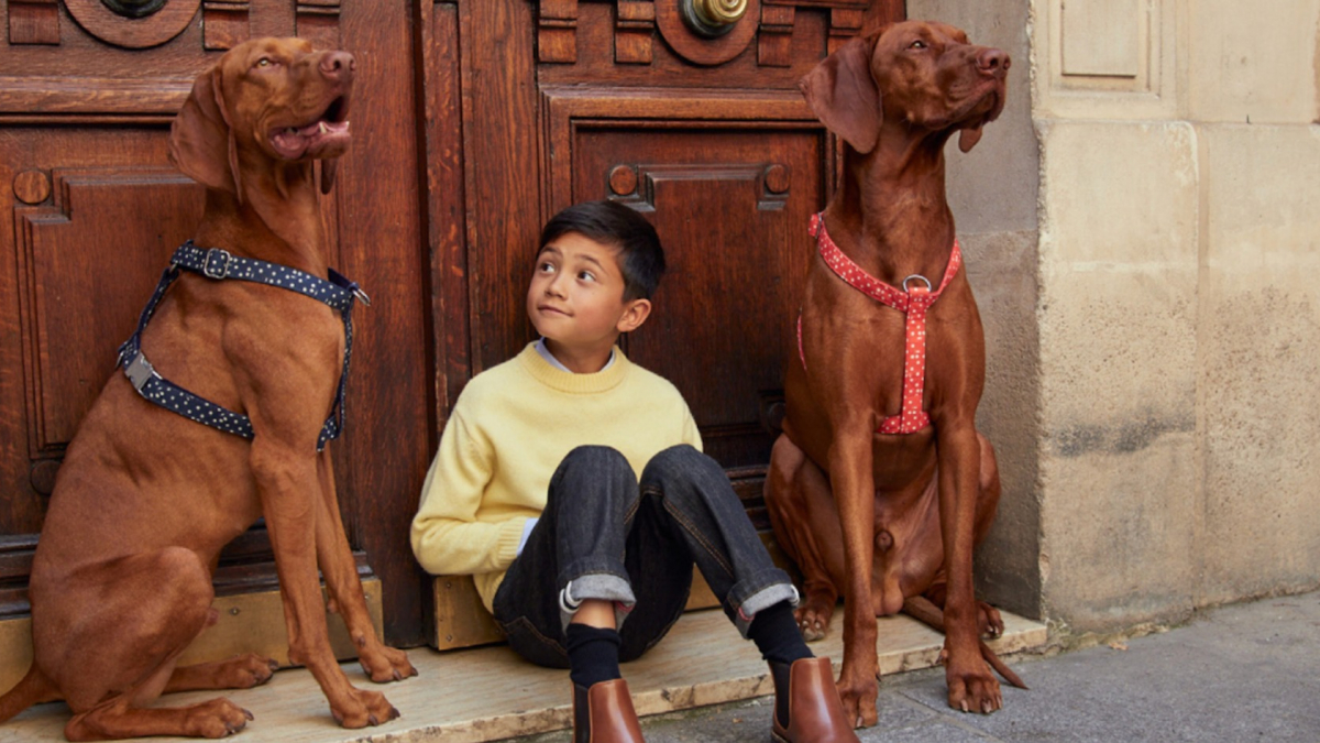 Illustration : "Sublimez votre chat ou chien avec la collection raffinée « Jeux d'enfants » signée Bonpoint et French Bandit"