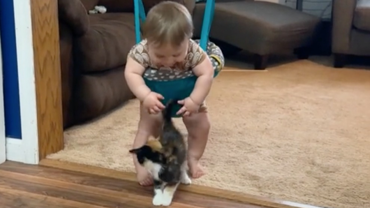Illustration : "Le rire contagieux d’un bébé qui rencontre un chaton pour la première fois  (vidéo)"