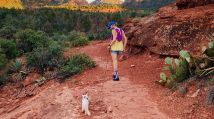 Illustration : Amoureux des grands espaces, ce chat défie les clichés en devenant un randonneur affirmé (vidéo)