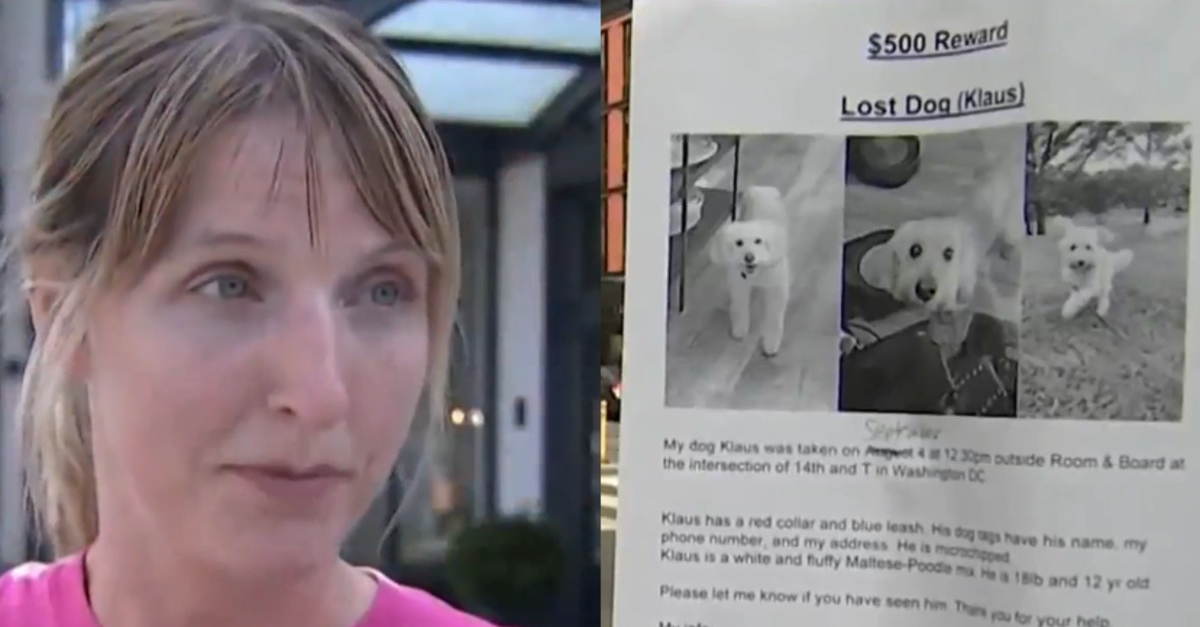 Elle se lance dans une folle course poursuite contre un bus dans l