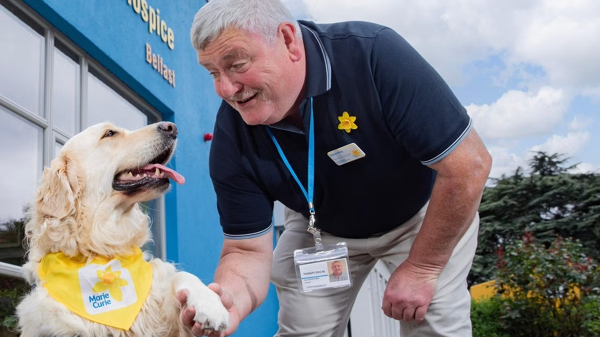 Illustration : "Cette chienne de thérapie apporte sourires et réconfort aux personnes âgées et handicapées"