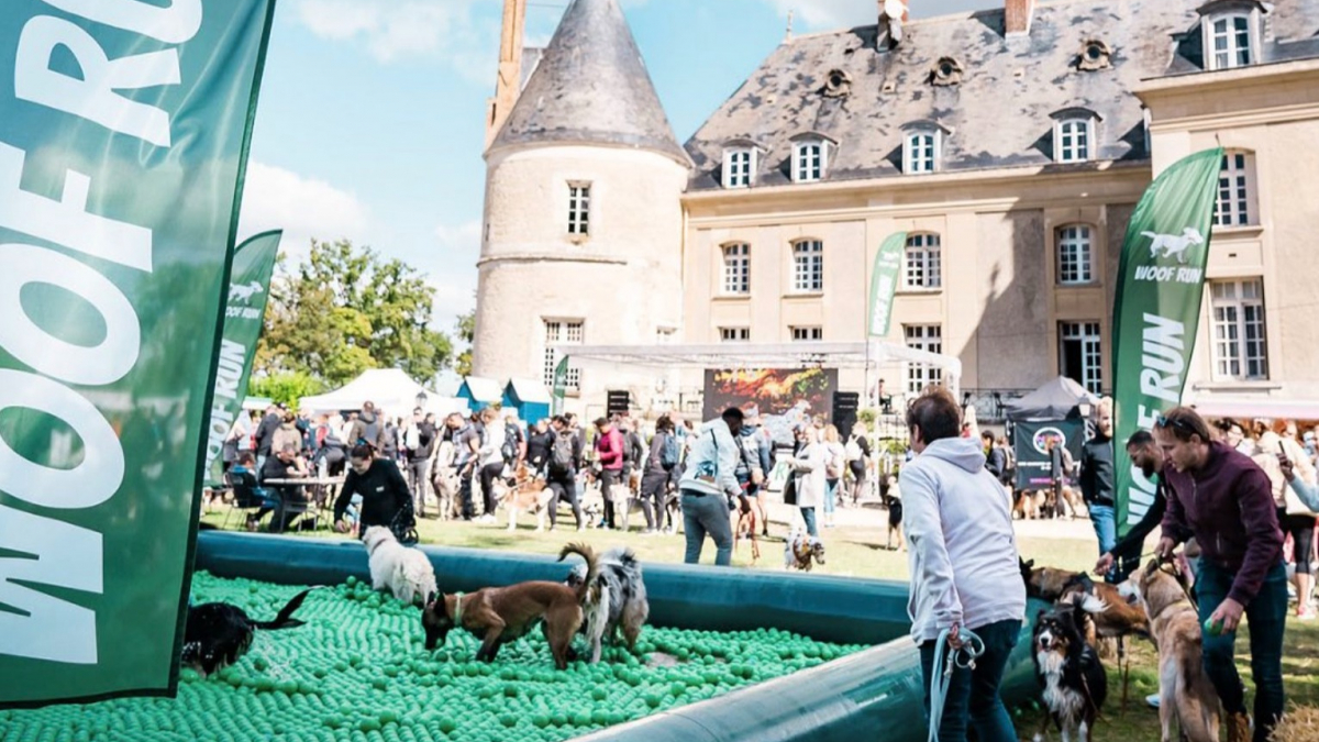 Illustration : "Rendez-vous ce week-end des 16 et 17 septembre pour le Woofest, premier festival animalier de France"