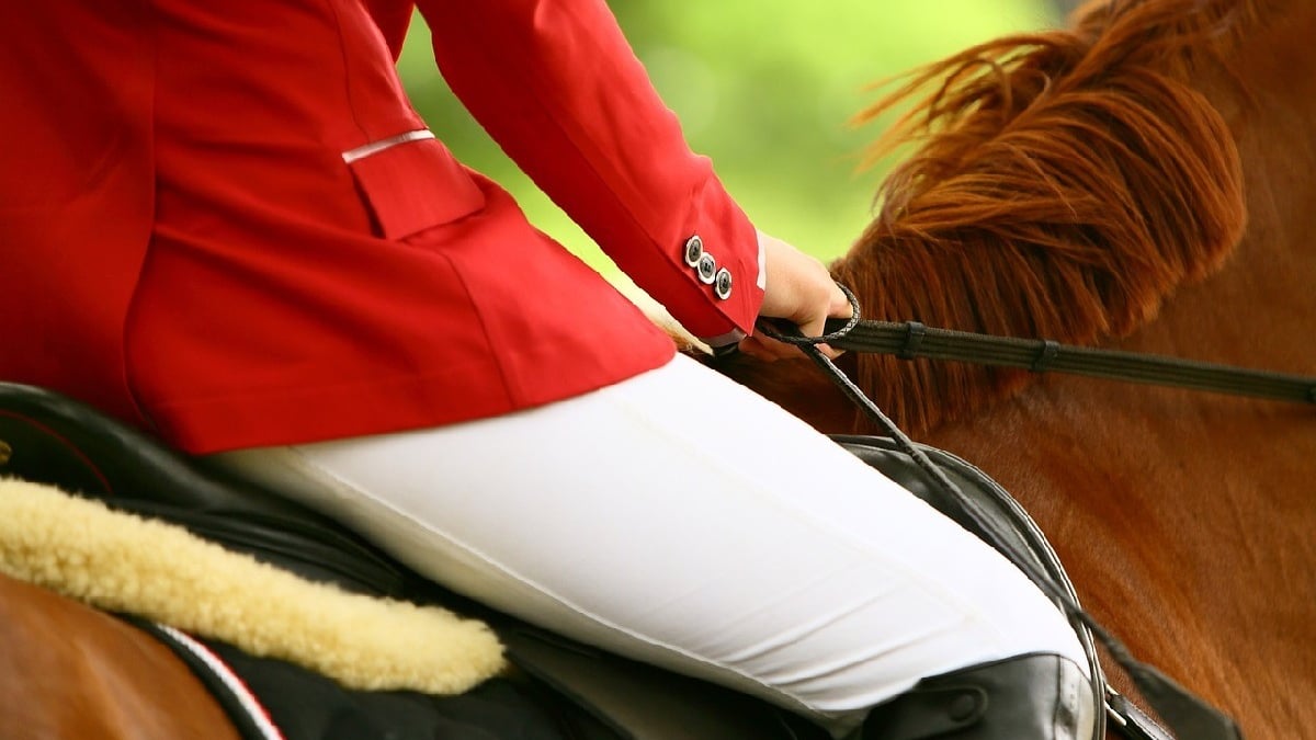 Selle de Cheval : Matériel d'Equitation