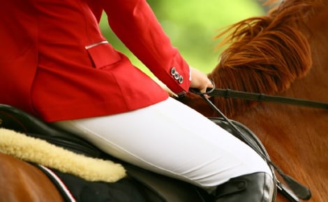 Illustration : Le choix crucial de l'équipement équestre : comment garantir la sécurité du cavalier et du cheval