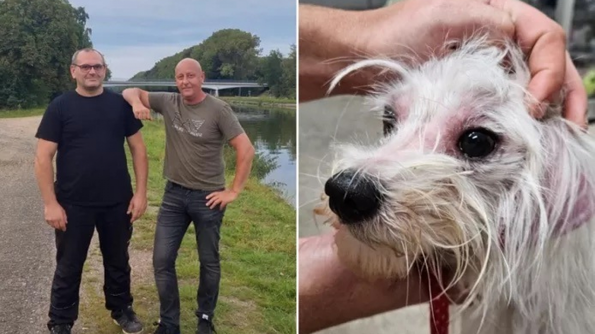 Illustration : "Des amis voient leur partie de pêche interrompue lorsqu’ils surprennent un homme en train de jeter son chien dans un canal"