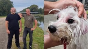 Illustration : Des amis voient leur partie de pêche interrompue lorsqu’ils surprennent un homme en train de jeter son chien dans un canal