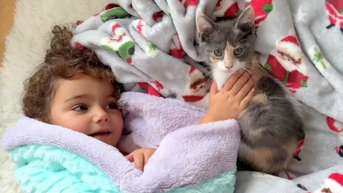 Illustration : "Une fillette et un chaton de refuge nouent un lien fusionnel et font craquer les internautes (vidéo)"
