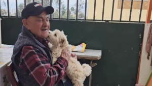 Illustration : "Un nonagénaire s'offre une nouvelle jeunesse lorsqu’il accueille un chien dans sa vie (vidéo)"