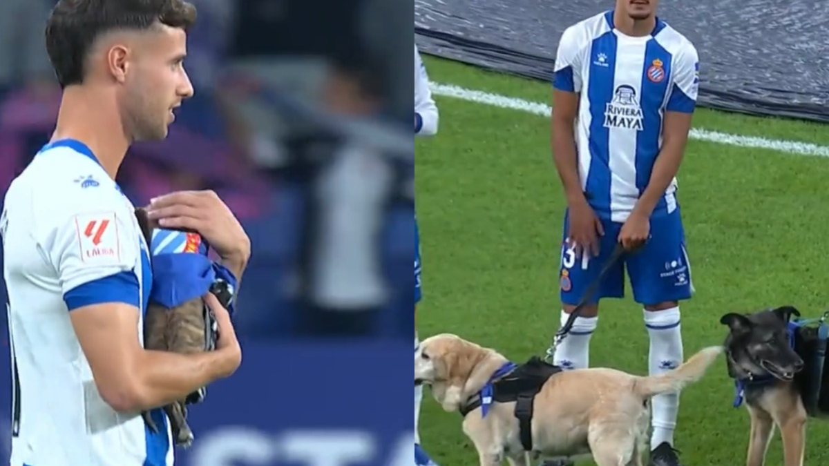 Illustration : "Une équipe de football entre sur le terrain avec des chiens dans les bras pour faire passer un message"
