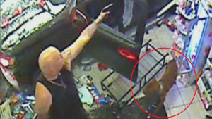 Illustration : Un chien perdu depuis 7 mois refait surface lors d'une course poursuite et une fusillade