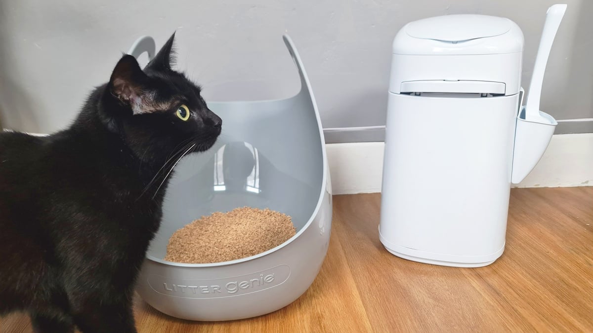 Litterlocker Design Poubelle À Litière Pour Chat