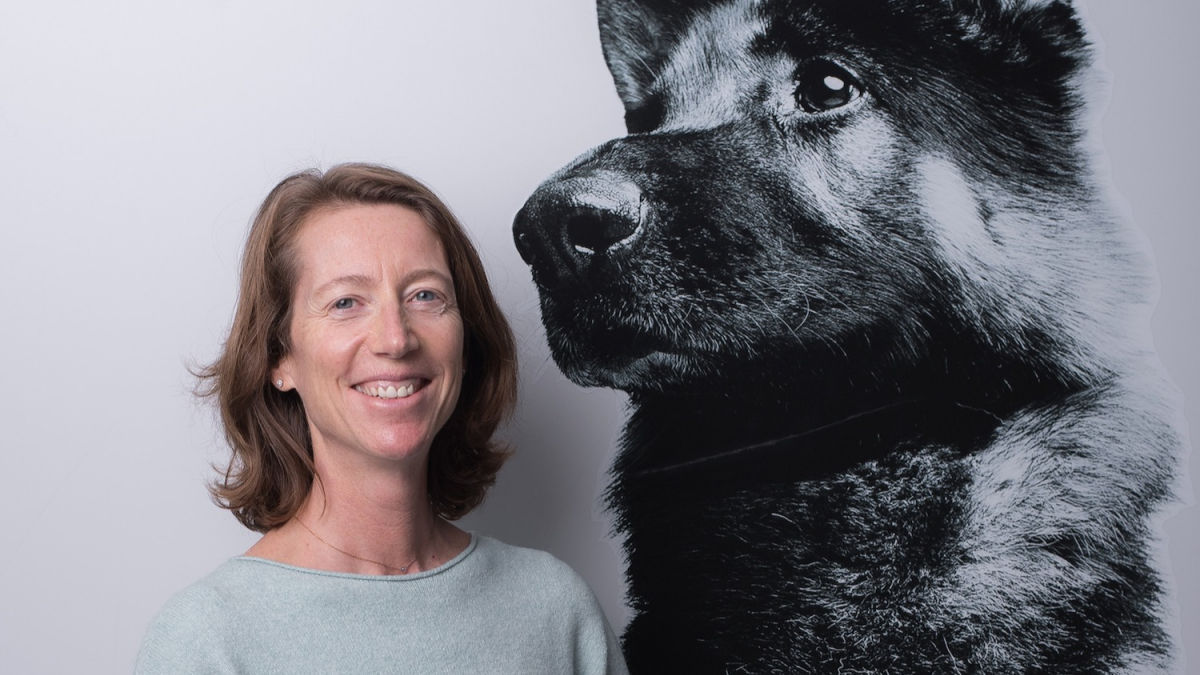 Illustration : "La détection du cancer du sein par les chiens : entretien avec Anne-Sophie Thomas de la Foundation Royal Canin"