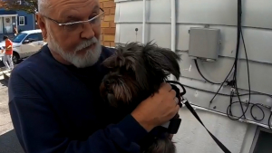 Illustration : Un homme apprenant à sa sortie d'hôpital que son chien a été donné se bat pendant des mois pour le récupérer