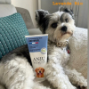 Illustration : Le shampooing universel et le spray nettoyant sans rinçage Anju Beauté font l’unanimité chez les testeurs de Pets Genius