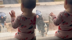 Illustration : "Lorsqu’ils se voient par la fenêtre, ce bébé et sa grande sœur nous offre un instant magique et rempli de tendresse (vidéo)"