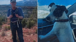 Illustration : La fidélité inébranlable d'un chien après la perte tragique de son propriétaire en montagne