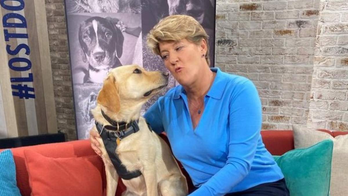 Illustration : "Une présentatrice télé suggère de faire passer un « test » à toutes les personnes qui souhaitent acheter un chien"