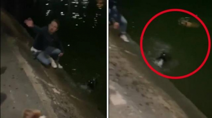 Illustration : Un homme courageux n’hésite pas à se mettre à l’eau en pleine nuit pour sauver 2 chiens de la noyade 