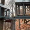 Illustration : La cabane dans les arbres et le catio de ce refuge pour chats ont de quoi faire des envieux (vidéo)