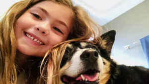 Illustration : Une fillette de 9 ans rend hommage à sa chienne décédée en offrant un Noël mémorable aux animaux d'un refuge