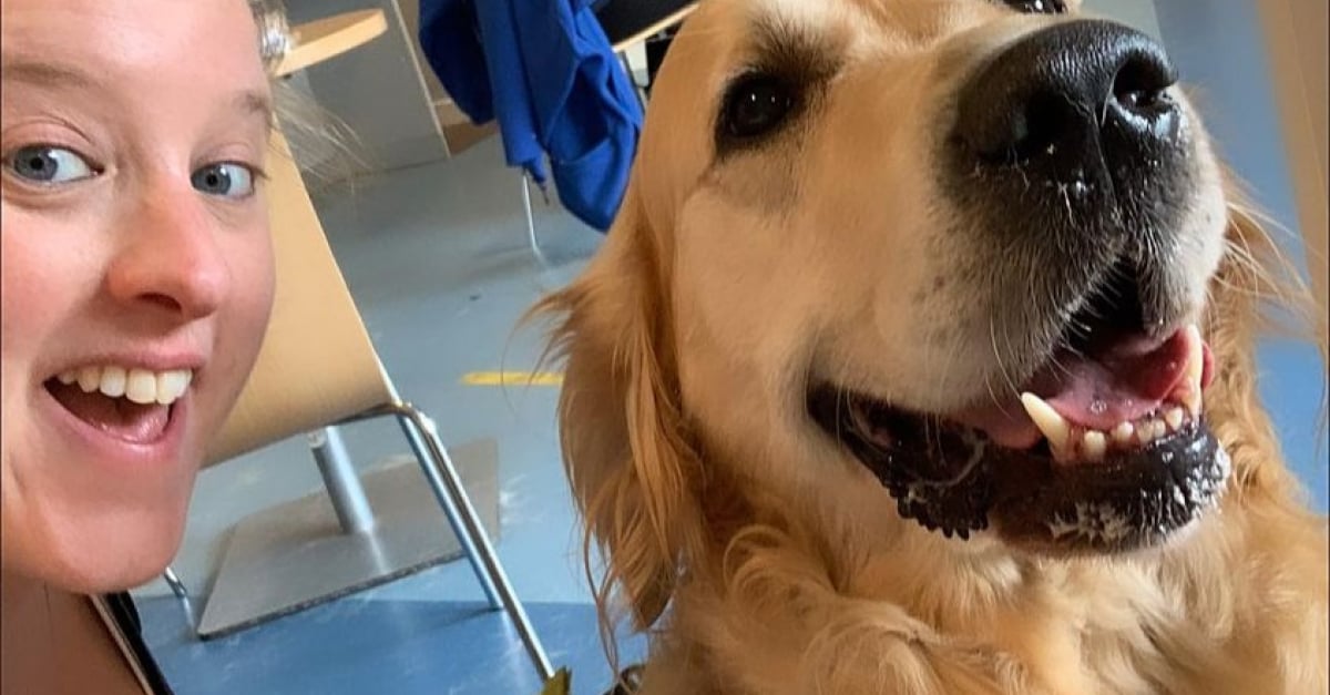 « Cela m’a donné une raison de me lever le matin » : s’occuper de ...