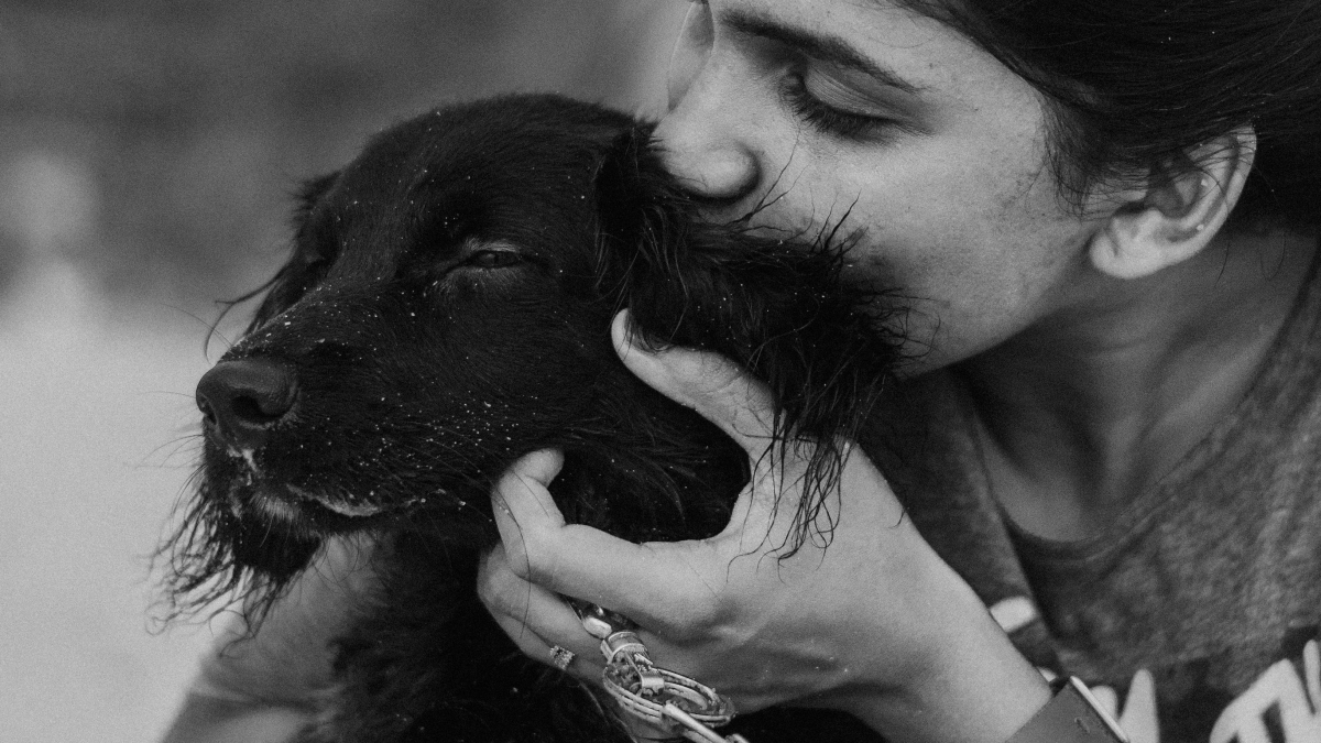 Illustration : "Esthima fait évoluer son offre de service funéraire pour fournir un soutien précieux aux vétérinaires dans la gestion du deuil animalier"