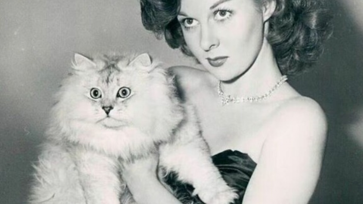 Illustration : "20 photos anciennes de chats, prenant la pose avec des personnages célèbres ou non"