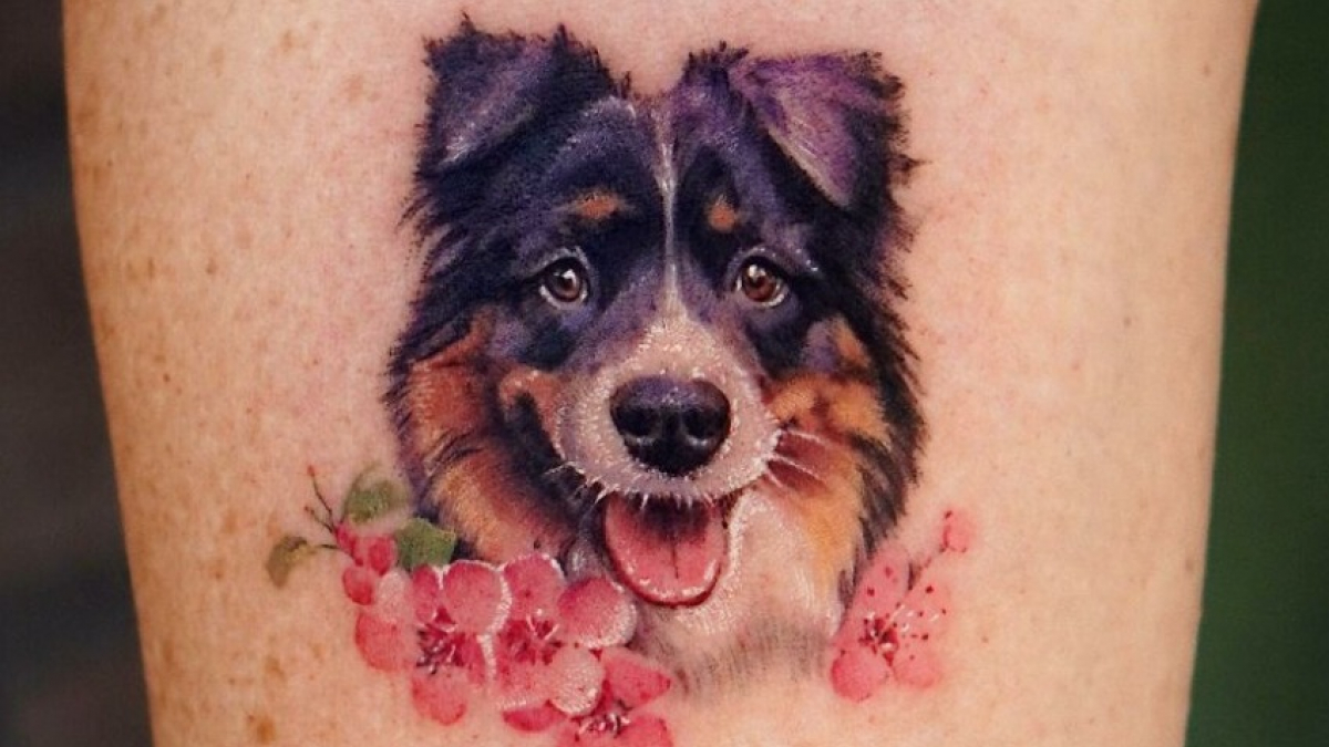 Illustration : "20 tatouages exceptionnels célébrant l'amour qu'ont les humains pour leurs chiens et chats"