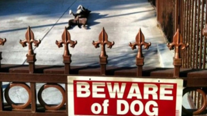 Illustration : 15 photos de panneaux "Attention au chien" rattrapée par la réalité de manière comique