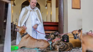 Illustration : 18 photos de chiens de refuges proposés à l'adoption lors de la messe d'un prêtre amoureux des animaux