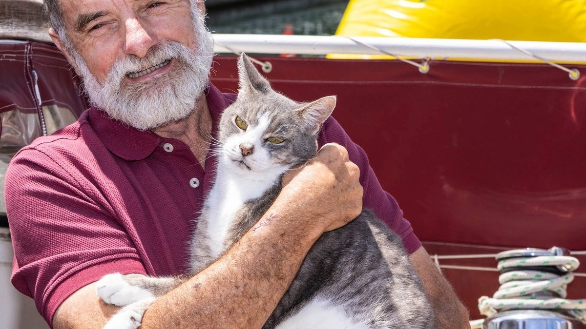 Illustration : "Ce chat s'apprête à entrer dans l'histoire des courses nautiques en prenant part à une célèbre régate de 1200 km"